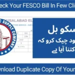 FESCO Online Bill