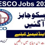 FESCO New Jobs in 2025